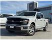 2024 Ford F-150 XLT (Stk: KE01860K) in Cranbrook - Image 1 of 20