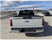 2024 Ford F-150 XLT (Stk: KE01860K) in Cranbrook - Image 4 of 20