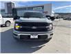 2024 Ford F-150 XLT (Stk: KE01860K) in Cranbrook - Image 8 of 20