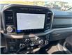2024 Ford F-150 XLT (Stk: KE01860K) in Cranbrook - Image 16 of 20