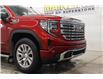 2024 GMC Sierra 1500 Denali (Stk: T3361A) in Watrous - Image 16 of 48