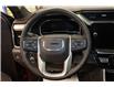 2024 GMC Sierra 1500 Denali (Stk: T3361A) in Watrous - Image 22 of 48