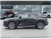 2024 Lexus NX 250  (Stk: 15105499A) in Richmond Hill - Image 3 of 21