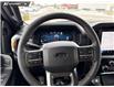 2026 Ford F-150 Tremor (Stk: 26T2671) in Red Deer - Image 13 of 24