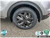 2022 Kia Sportage EX Premium S (Stk: 26C246A) in Tillsonburg - Image 6 of 23