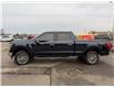 2024 Ford F-150 Lariat (Stk: C022A) in Oakville - Image 11 of 33