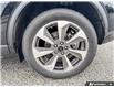 2024 Ford Escape Platinum (Stk: TT8335) in Sarnia - Image 6 of 25