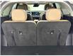 2025 Kia Sorento 2.5T X-Line Limited w/Olive Brown Interior (Stk: 43619J) in Belleville - Image 7 of 35