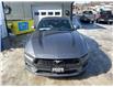 2025 Ford Mustang EcoBoost Premium (Stk: ZSTANG) in Sudbury - Image 8 of 9