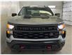 2024 Chevrolet Silverado 1500 Custom Trail Boss (Stk: 43588J) in Belleville - Image 2 of 25