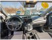 2020 Honda CR-V LX (Stk: 000664) in Lower Sackville - Image 14 of 20