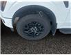 2026 Ford F-150 XLT (Stk: 26T032) in ROCKY MOUNTAIN HOUSE - Image 14 of 15