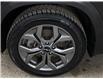 2024 Kia Seltos EX (Stk: 43554J) in Belleville - Image 24 of 24