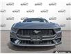 2026 Ford Mustang EcoBoost (Stk: 260181) in Hamilton - Image 2 of 16