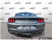 2026 Ford Mustang EcoBoost (Stk: 260181) in Hamilton - Image 5 of 16