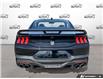 2026 Ford Mustang Dark Horse (Stk: 260182) in Hamilton - Image 5 of 17