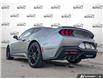 2026 Ford Mustang GT (Stk: AFL260199) in Hamilton - Image 4 of 17