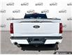 2026 Ford F-150 XLT (Stk: 260146) in Hamilton - Image 5 of 19