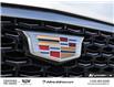 2024 Cadillac XT4 Premium Luxury (Stk: 260175A) in London - Image 13 of 30 2024 Cadillac XT4 Premium Luxury (Stk: 260175A) in London - Image 13 of 30
