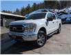 2021 Ford F-150 XLT (Stk: 14783) in Sudbury - Image 1 of 17