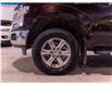 2019 Ford F-150 XLT (Stk: R69224) in Calgary - Image 8 of 22