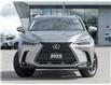 2025 Lexus NX 350h  (Stk: 15105529A) in Richmond Hill - Image 3 of 28