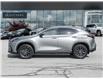 2025 Lexus NX 350h  (Stk: 15105529A) in Richmond Hill - Image 4 of 28