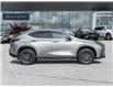 2025 Lexus NX 350h  (Stk: 15105529A) in Richmond Hill - Image 6 of 28
