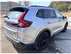 2023 Honda CR-V Sport-B (Stk: 16145) in Newmarket - Image 20 of 50