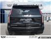 2024 Cadillac Escalade Sport (Stk: 26446A) in Perth - Image 4 of 28