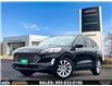 2022 Ford Escape Titanium Hybrid (Stk: TR74391) in Windsor - Image 1 of 28