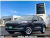 2022 Ford Escape SE (Stk: TR24667) in Windsor - Image 1 of 28