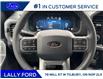 2026 Ford F-150 XLT (Stk: LFFF01665) in Tilbury - Image 11 of 15