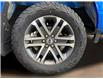 2021 Ford F-150 XL (Stk: 26020A) in Melfort - Image 11 of 19