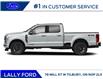 2026 Ford F-250 Platinum (Stk: LFFF01771) in Tilbury - Image 3 of 13