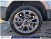 2020 Ford EcoSport Titanium (Stk: ST-254A) in Calgary - Image 6 of 24