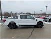 2026 Ford F-150 XLT (Stk: F1437) in Miramichi - Image 6 of 13