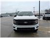 2026 Ford F-150 XLT (Stk: F1437) in Miramichi - Image 8 of 13