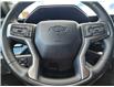 2024 Chevrolet Silverado 1500 LT Trail Boss (Stk: 31353A) in The Pas - Image 17 of 21