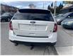2013 Ford Edge SEL (Stk: FB31302) in Scarborough - Image 6 of 23