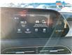 2020 Hyundai Palisade  (Stk: 251214A) in Ottawa - Image 20 of 33