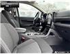 2026 Ford Ranger XLT (Stk: 6RG08550) in Brantford - Image 20 of 23