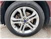 2018 Ford Edge Titanium (Stk: 45498A) in Newmarket - Image 49 of 50