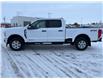 2026 Ford F-250 XLT (Stk: T17875) in Hague - Image 5 of 13