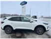 2024 Ford Escape PHEV (Stk: U18723) in Hague - Image 1 of 13