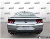 2026 Ford Mustang EcoBoost (Stk: OFL6G008) in Oakville - Image 5 of 22