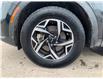 2023 Kia Sportage LX (Stk: 32954A) in Thunder Bay - Image 7 of 13