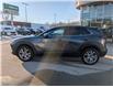 2023 Mazda CX-30 GS (Stk: 03677P) in Owen Sound - Image 2 of 20