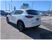 2019 Mazda CX-5 GS (Stk: 25263A) in Owen Sound - Image 3 of 21