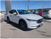 2019 Mazda CX-5 GS (Stk: 25263A) in Owen Sound - Image 7 of 21